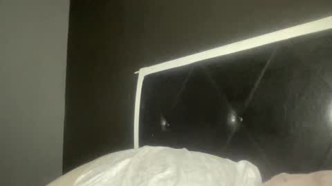 Snapshot of kinkykittee chatting on 02-08-25, 03:41 Bunniii online show from 02-08-25, 03:41