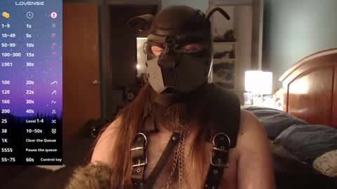 kinkywolf87 online show from 12-09-24, 08:00