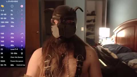 kinkywolf87 online show from 12-19-24, 12:56