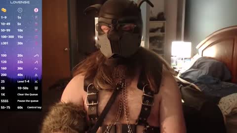 kinkywolf87 online show from 01-06-25, 06:47