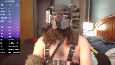 kinkywolf87 online show from 01-13-25, 07:42