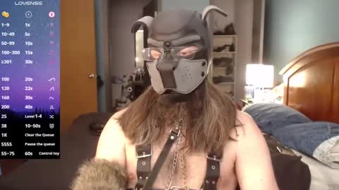 kinkywolf87 online show from 02-23-25, 07:38
