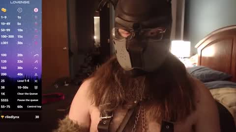 kinkywolf87 online show from 03-06-25, 08:41