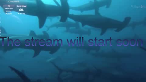 Kira online show from 01-17-26, 05:49