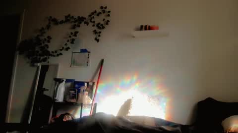 Kissah Kreampuff online show from 10-01-25, 11:44