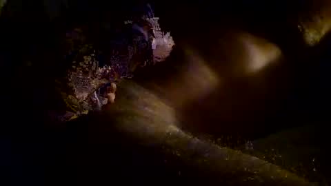 Snapshot of kitkat_loco1 chatting on 11-03-25, 09:54 Kitkat loco online show from 11-03-25, 09:54