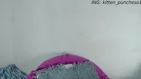 kitten_punches01 online show from 09-28-25, 02:39