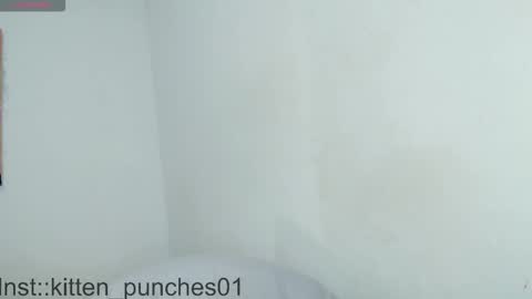 Snapshot of kitten_punches02 chatting on 11-01-25, 03:08 kitten_punches02 online show from 11-01-25, 03:08