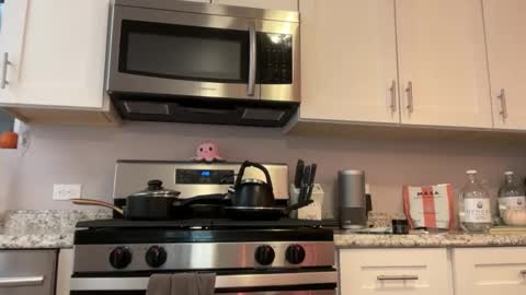 kittypurr79 online show from 11-25-25, 04:34