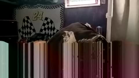 Snapshot of knock2wice1975 chatting on 01-20-25, 04:32 knock2wice1975 online show from 01-20-25, 04:32