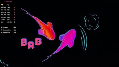 Snapshot of knowlita chatting on 12-22-24, 10:06 knowlita online show from 12-22-24, 10:06