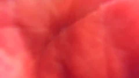 Snapshot of kobayaske chatting on 02-15-25, 12:15 kobayaske online show from 02-15-25, 12:15