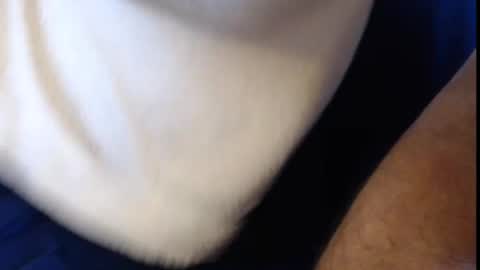 Konrad online show from 03-06-25, 09:25