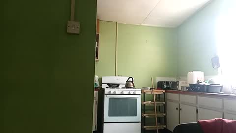 Snapshot of korn4lyfe chatting on 03-01-25, 01:29 Prince makonnen online show from 03-01-25, 01:29