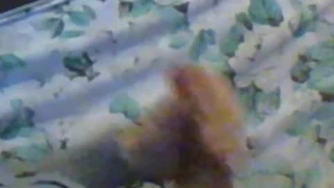 Snapshot of kren565656 chatting on 12-10-24, 11:32 kren565656 online show from 12-10-24, 11:32