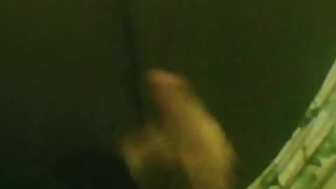 Snapshot of kren565656 chatting on 12-29-24, 01:34 kren565656 online show from 12-29-24, 01:34