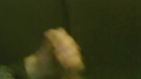 Snapshot of kren565656 chatting on 01-22-25, 09:35 kren565656 online show from 01-22-25, 09:35