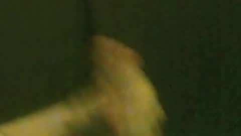 Snapshot of kren565656 chatting on 09-21-25, 10:06 kren565656 online show from 09-21-25, 10:06