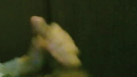 Snapshot of kren565656 chatting on 10-20-25, 08:26 kren565656 online show from 10-20-25, 08:26