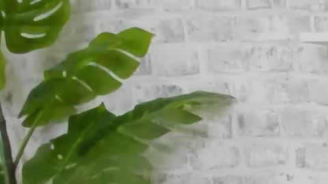 Kristi online show from 12-15-24, 09:45