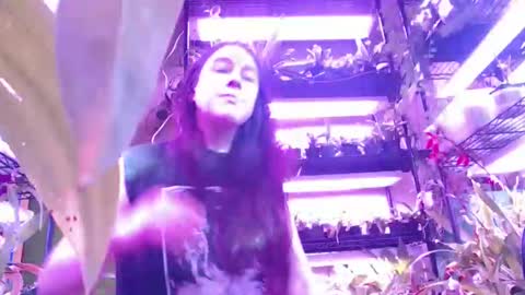 Snapshot of krookedorchid chatting on 11-01-25, 02:52 krookedorchid online show from 11-01-25, 02:52