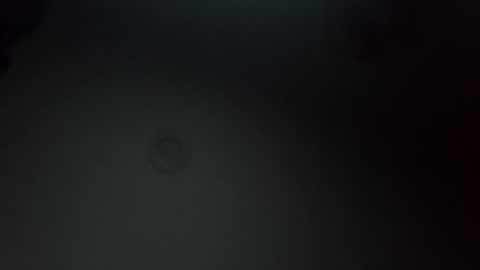 krsfee1 online show from 02-20-25, 02:24