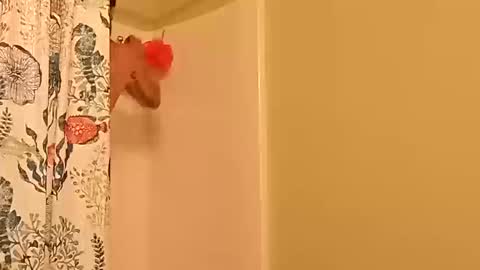 Snapshot of kyleisabadname chatting on 10-20-25, 12:44 kyleisabadname online show from 10-20-25, 12:44