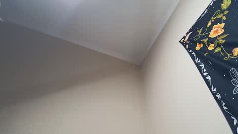 Snapshot of l_adonis_l chatting on 02-28-25, 04:32 Adonis online show from 02-28-25, 04:32