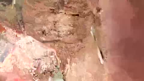 la7496659 online show from 01-17-25, 07:19