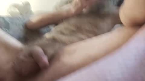 la7496659 online show from 11-15-25, 05:42