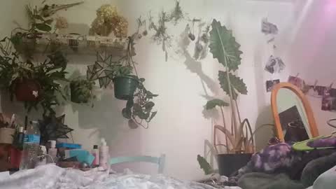 lacybell online show from 12-24-24, 06:44