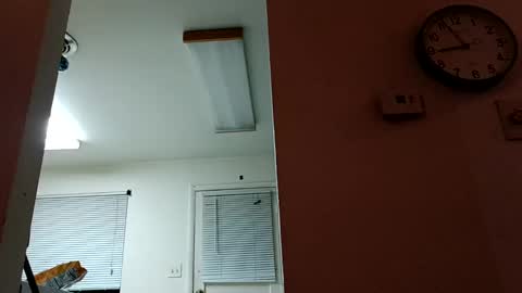 lacybell online show from 01-14-25, 02:50