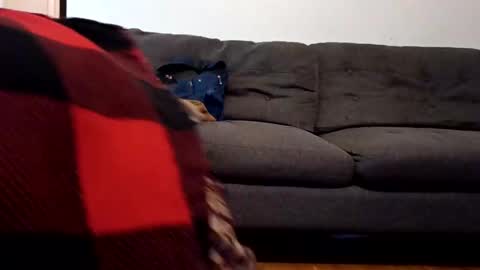 lacybell online show from 02-07-25, 10:40