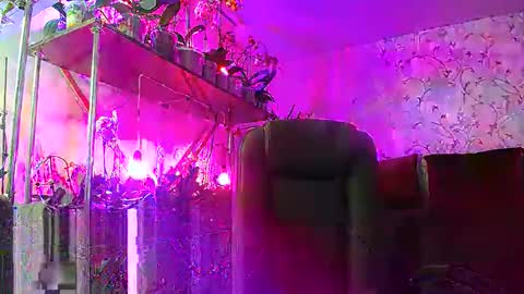 Lady Gloria online show from 02-15-25, 12:54