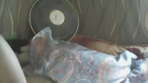 Snapshot of ladyxsnakes chatting on 01-10-25, 05:26 LadyXSnakes online show from 01-10-25, 05:26
