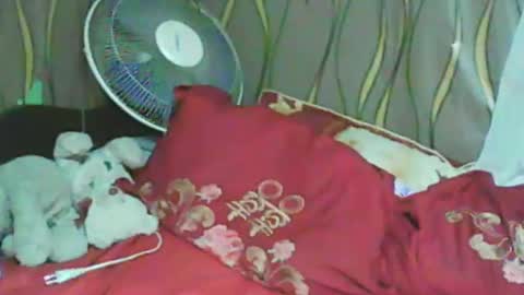 Snapshot of ladyxsnakes chatting on 01-11-25, 03:31 LadyXSnakes online show from 01-11-25, 03:31