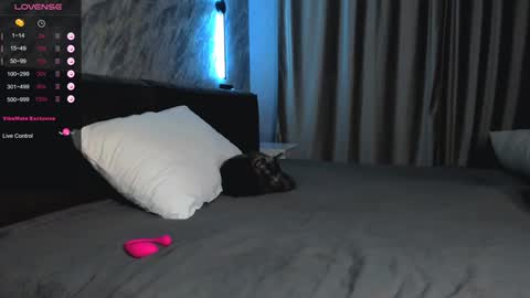 Bella online show from 01-28-25, 01:49