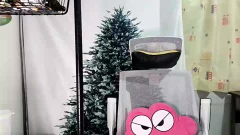 Snapshot of lailai6699 chatting on 09-12-25, 05:02 lailai6699 online show from 09-12-25, 05:02