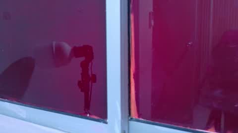 Laura online show from 11-25-25, 12:05