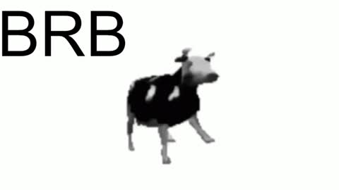 just call me Lana  and her security online show from 01-23-25, 02:28