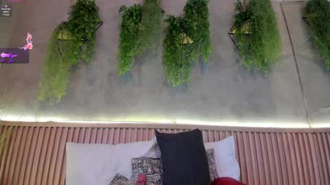 Snapshot of lana_lann chatting on 02-14-25, 02:54 lana_lann online show from 02-14-25, 02:54