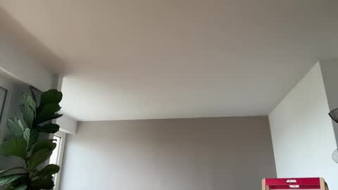 Lanimal online show from 10-03-25, 08:00