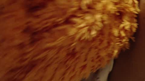 laralhotr online show from 12-26-24, 10:09