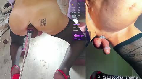 Snapshot of lasophia chatting on 03-11-25, 06:00 Sophia online show from 03-11-25, 06:00