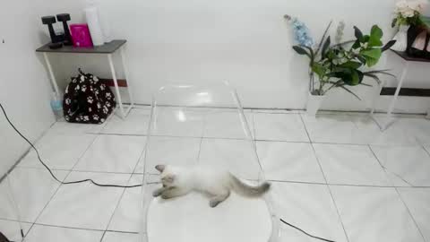 Kendra online show from 02-19-26, 05:47