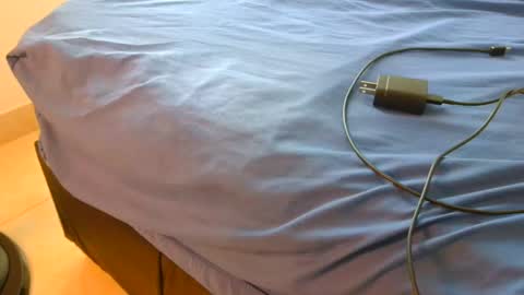 blackBear online show from 11-16-25, 01:28