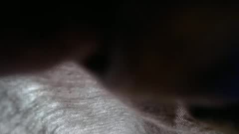 launeeee1 online show from 02-03-26, 02:55