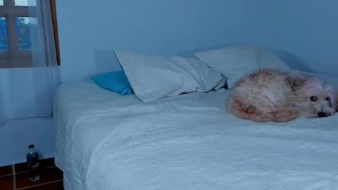 Lucie  online show from 02-15-25, 10:42