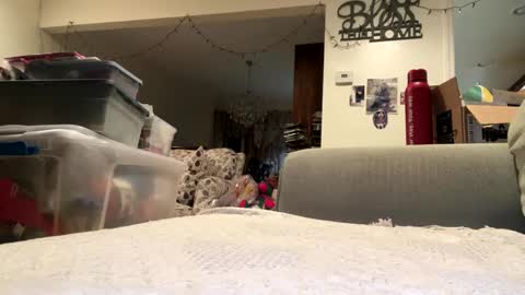 Snapshot of lawrencegreg106 chatting on 09-25-25, 01:09 lawrencegreg106 online show from 09-25-25, 01:09