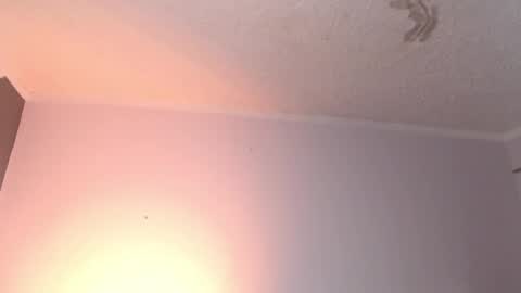 leabigboobs online show from 02-03-25, 03:49